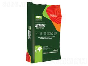 �����S�����-������-���՘�