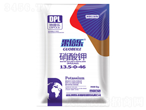 �����-������-���՘�