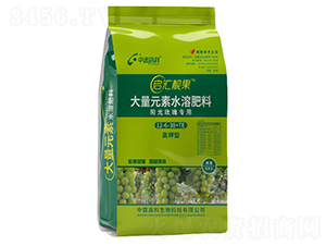 �(y��ng)��õ�匣�ø�⛷�12-6-38+TE-���R�n��-���ظ߿�