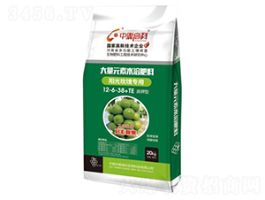 ꖹ�õ�匣�ô���Ԫ��ˮ�ܷ���12-6-38+TE-���ظ߿�