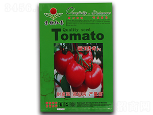 ���t���N��-��������F1-���J�tϲ