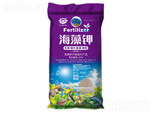 ����⛷�-��Ȫ����