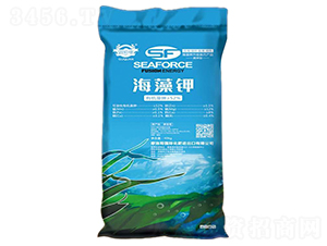 �ЙC(j��)����⛷�-��Ȫ����