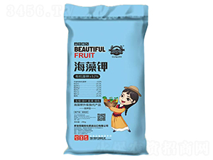 ����⛷�-Ħ���-��Ȫ����