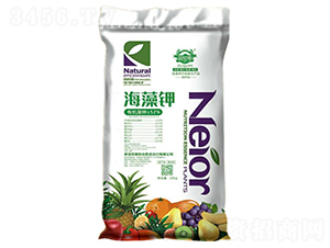 �����-Ħ���-��Ȫ����