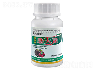 �����-�ο�ֲ��