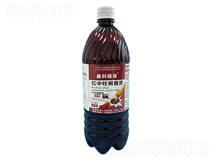 ��ݮ���Ú�����-�t���������`-�ο�ֲ��