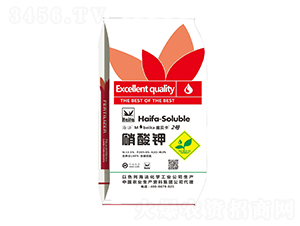 �����-ħؐ��2̖-չ��