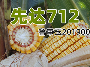 ���_(d��)712-���׷N��-�����N�I(y��)