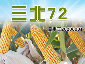 ����72-���׷N��-�����N�I(y��)