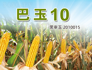 ����10-���׷N��-�����N�I(y��)