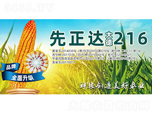 ���216-���׷N��-�����N�I(y��)