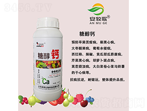 �Ǵ��}�~���-������-ힲ�����