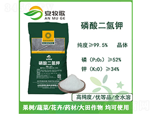 ��������-������-ힲ�����