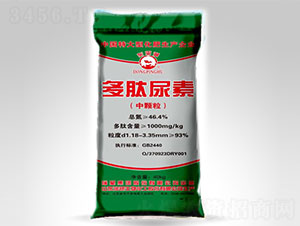 ���w����������-�|ƽ��-����