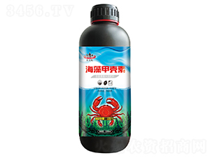 ����ך���-ɽ�|�������