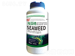 ���徫-ɽ�|�������