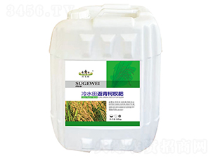 ��ˮ�ﷵ���辷�-ɽ�|�������