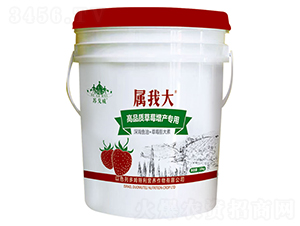 ��Ʒ�|(zh��)��ݮ���a(ch��n)���÷�-���Ҵ�-ɽ�|�������