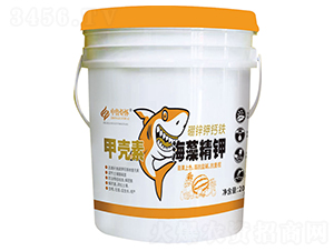 �ך��غ��徫�-ɽ�|�������