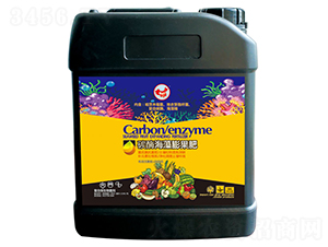 ̼ø���������-ɽ�|�������