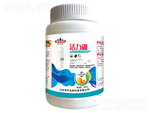 ������-ɽ�|�������