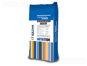 �����-ɽ�|�������