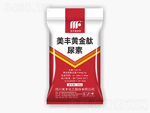 ���S�S���v����-���S����