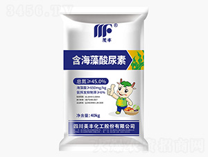 ������������-���S����