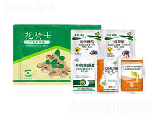 ���������ײ�-���Tʿ-�S�՘�