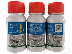 24%���ס�ݬȥ��ɷ�ɢ�͑Ҹ���-ԥ�m��-�S�՘�