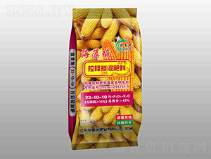 �������ጓ������23-10-10-����ʩ