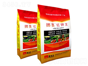 Ųϲ�t���-���Z�S