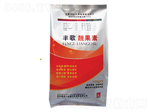 �S���n����-���Z�S