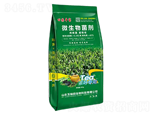 ���~���Ç��{����΢�������-���\��