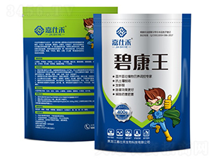 �̿���-���˺�