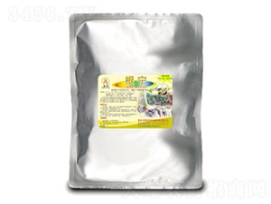 ����-��̩��