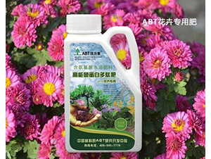 ABT�����Ļ��܌��ø����~���׶��ķ�-���ȵ�