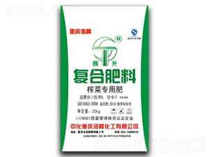 ե�ˌ��Ï�(f��)�Ϸ���-���껯��