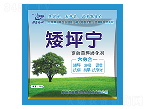 ��ƺ������-��ƺ��-�ڶ���