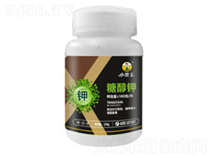 �Ǵ��-����������