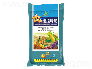 ����ጷ�17-17-17-����