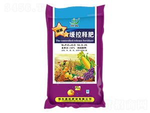 ����ጷ�16-9-25-����