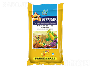 ����ጷ�28-11-13-����