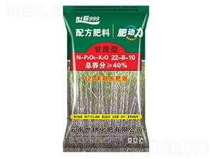 ���ጣ���䷽����22-8-10-����