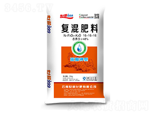 ������͏�(f��)�����16-16-16-����