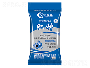 ��(f��)�����24-0-5-����-����