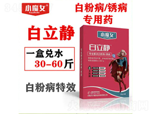 �׷۲����P������ˎ-�����o-СħŮ-���н�