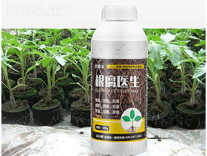 �����t(y��)��-СħŮ-���н�