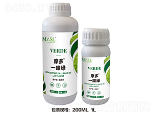 Ħ��һ���G-������